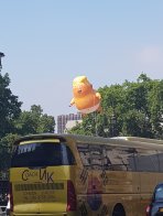 Trump Baby Blimp, Parliament Square, London